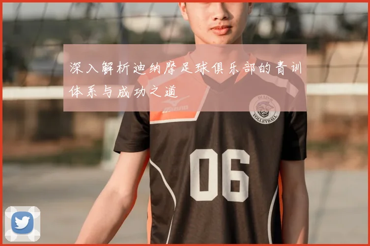 深入解析迪纳摩足球俱乐部的青训体系与成功之道