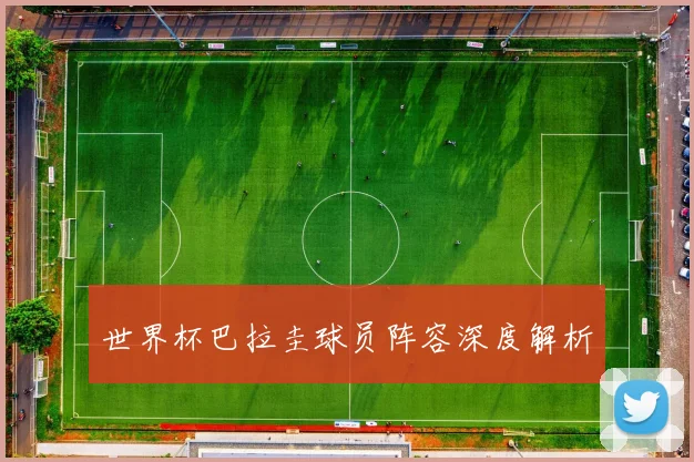 世界杯巴拉圭球员阵容深度解析