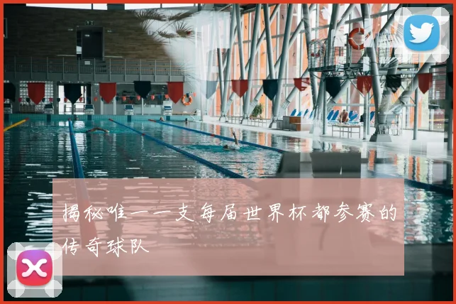 揭秘唯一一支每届世界杯都参赛的传奇球队