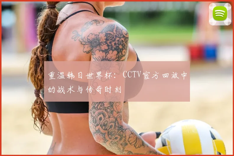 重温韩日世界杯：CCTV官方回放中的战术与传奇时刻