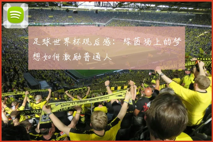 足球世界杯观后感:绿茵场上的梦想如何激励普通人