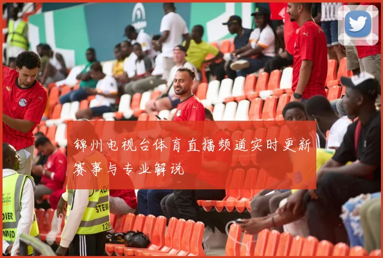 锦州电视台体育直播频道实时更新赛事与专业解说