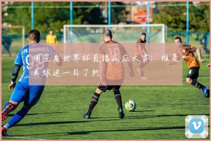 明星看世界杯直播反应大赏:谁是真球迷一目了然