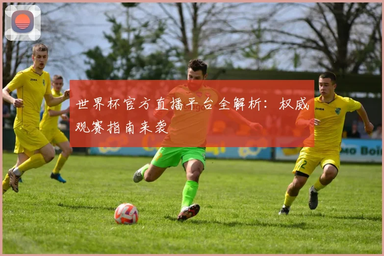 世界杯官方直播平台全解析：权威观赛指南来袭