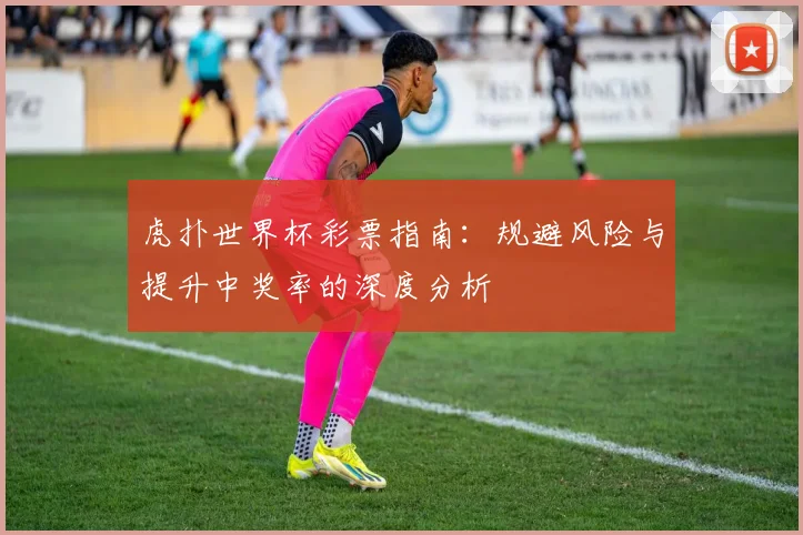 虎扑世界杯彩票指南：规避风险与提升中奖率的深度分析