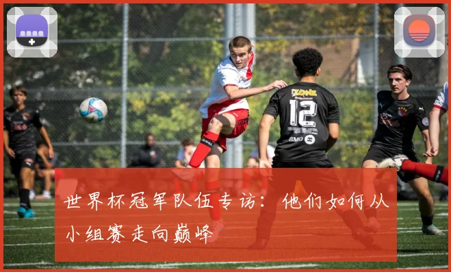 世界杯冠军队伍专访:他们如何从小组赛走向巅峰